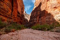 grand_canyon39-Saddle Canyon